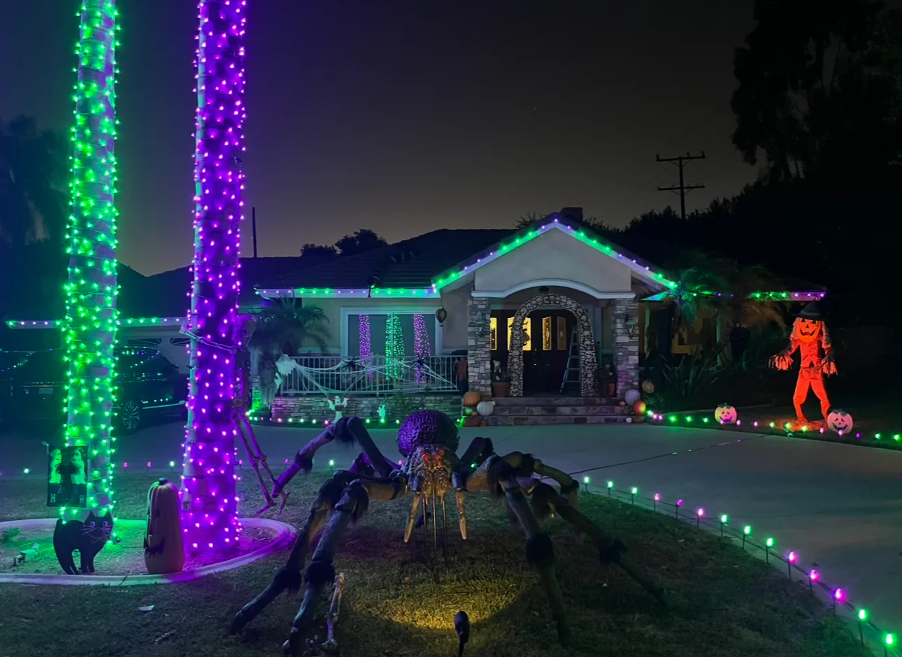 Festive holiday lighting display