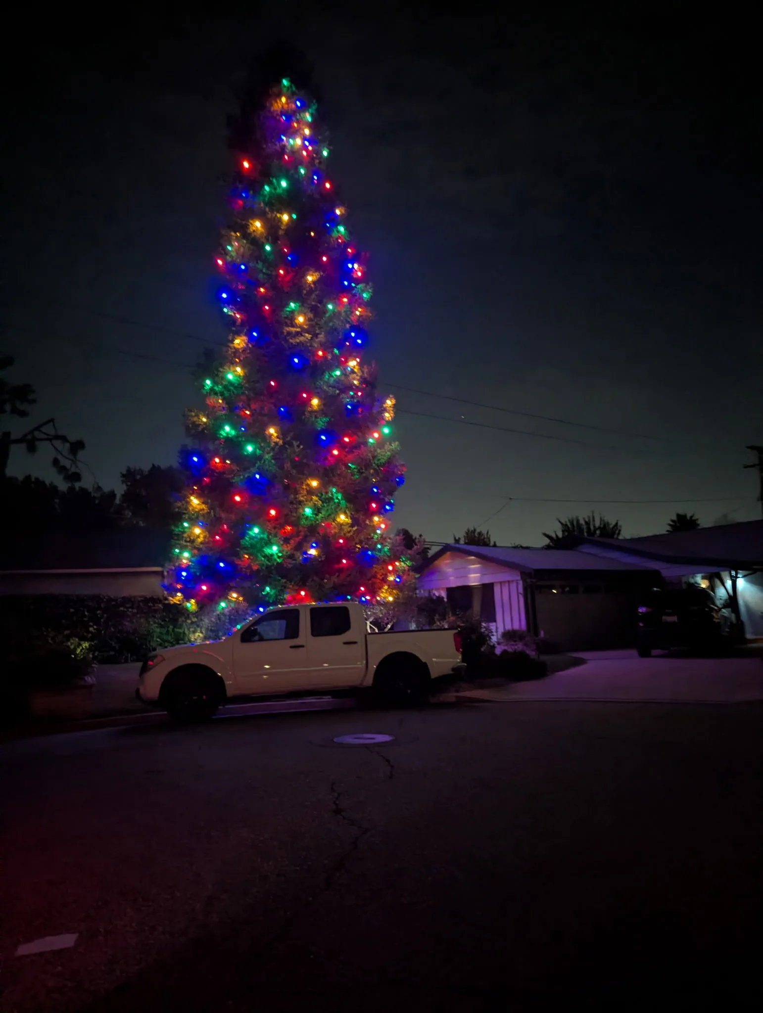 Christmas decorators styling a holiday interior